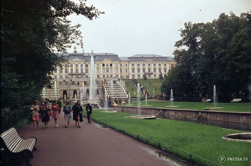 Петергофский дворец, 1963
