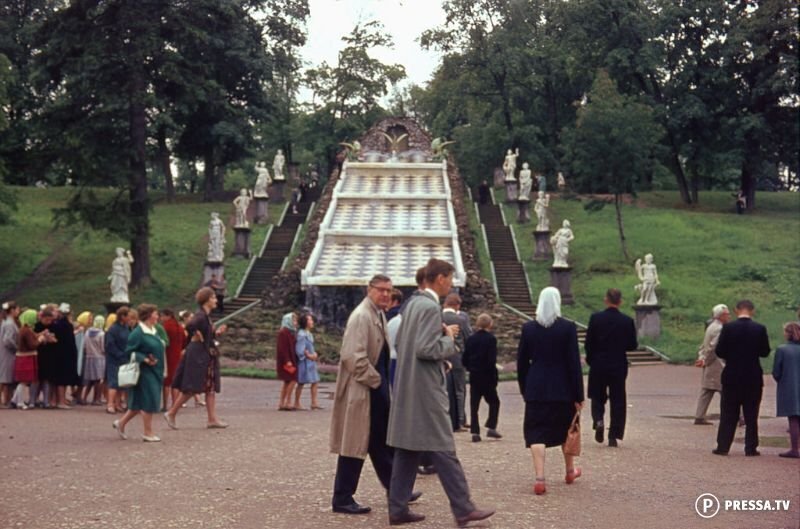 Шахматная гора, Петергоф, 1963