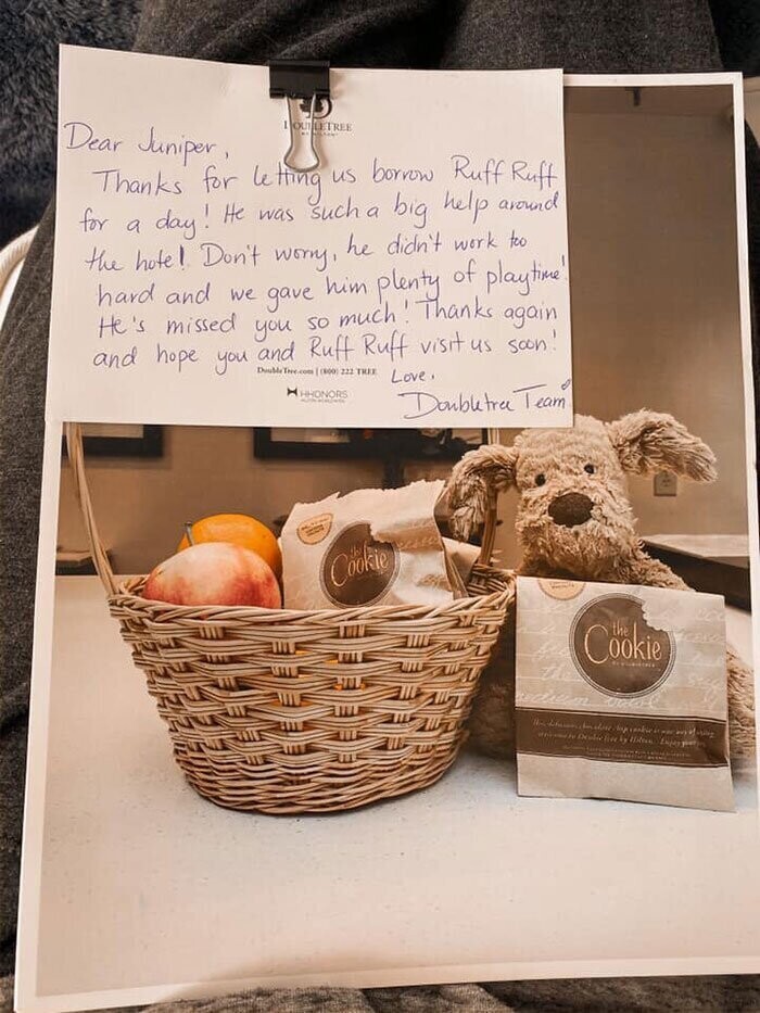 Сотрудники отеля прислали Джунипер письмо и фотографии того, чем занимался Рафф-Рафф в отеле