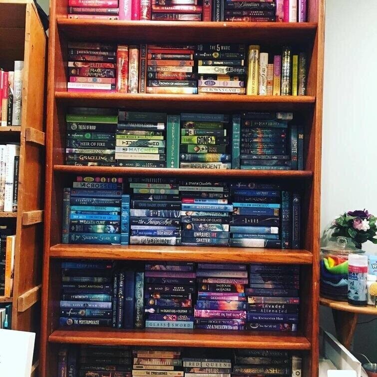 "Моя сестра-подросток расставила коллекцию своих книг по цветам"