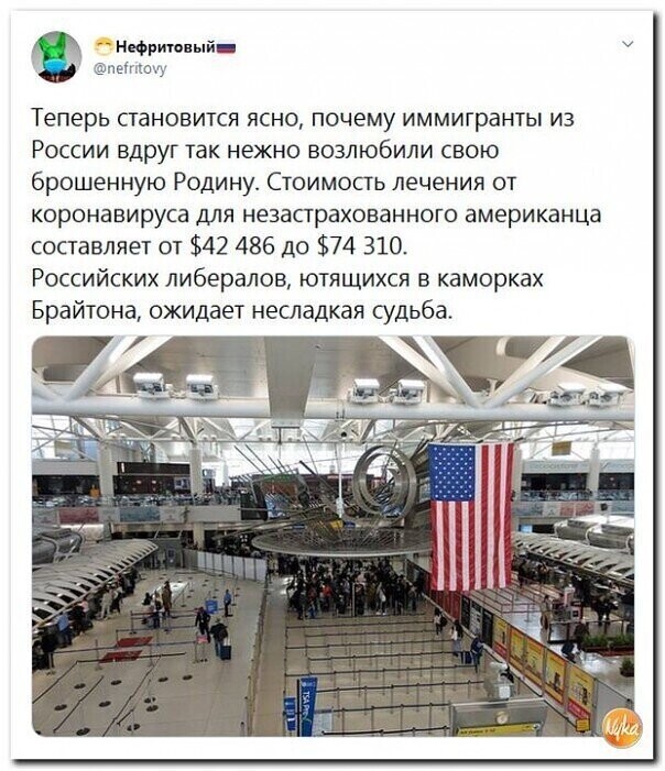 Политические комментарии из инета