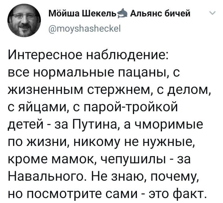 Политические комментарии из инета