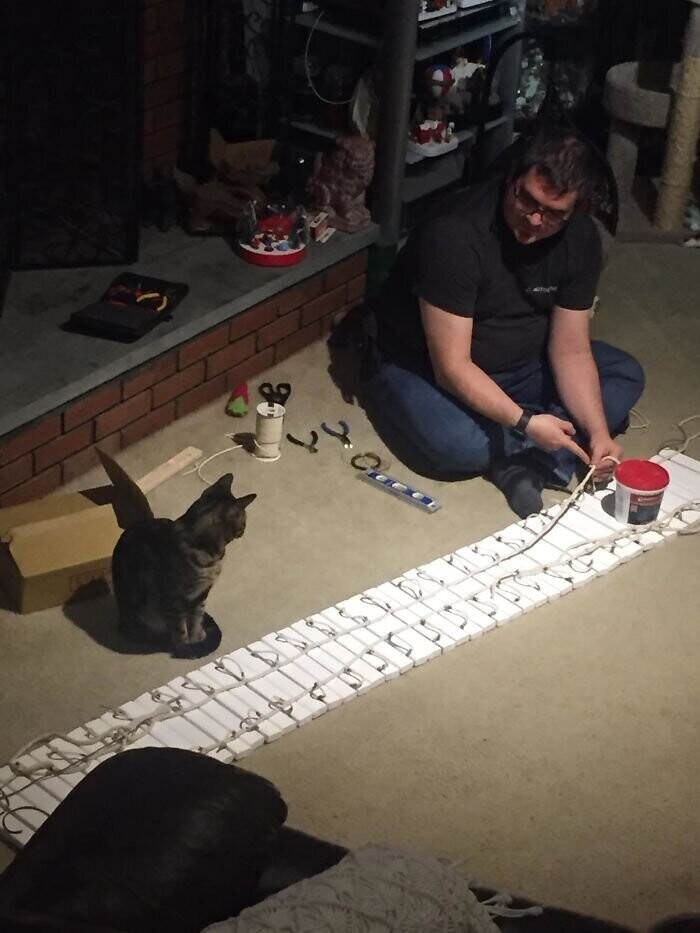 Инженер построил жилой комплекс класса "люкс" для кошек