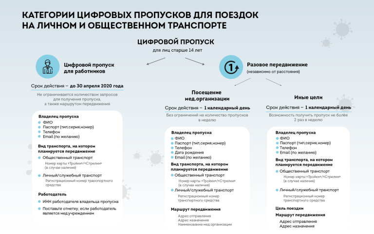 Пропуска в Москве будут цифровыми: разъясняем, как оформить, кто имеет право, куда обращаться