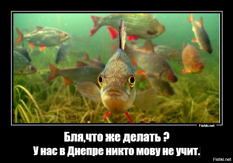 Старые песни о главном *23*