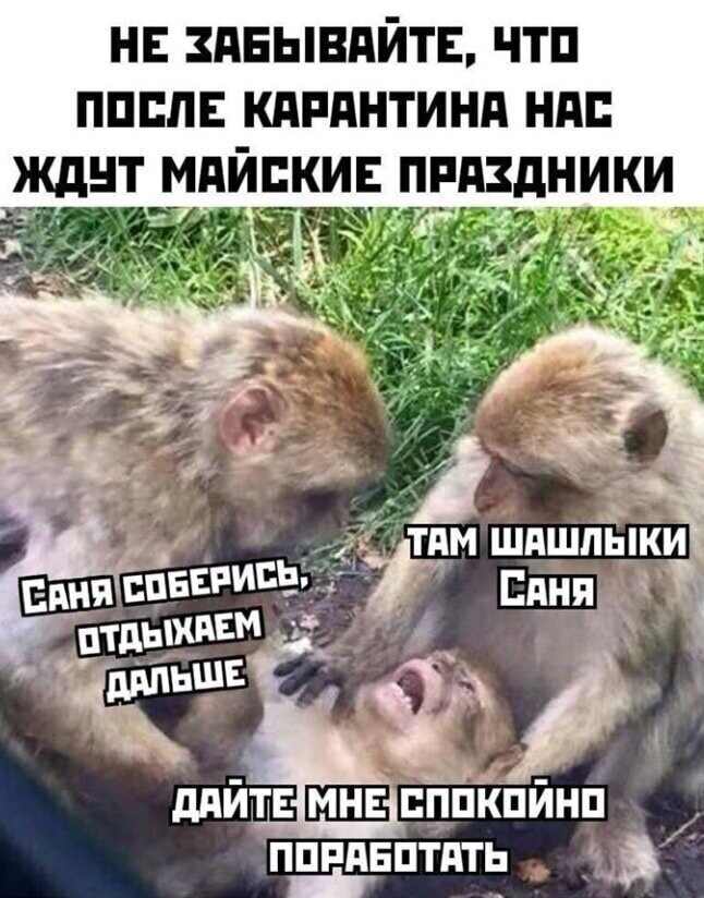 Смешные картинки