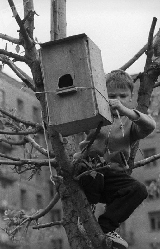 Весенний скворечник. Фото Валерия Шустова,1969