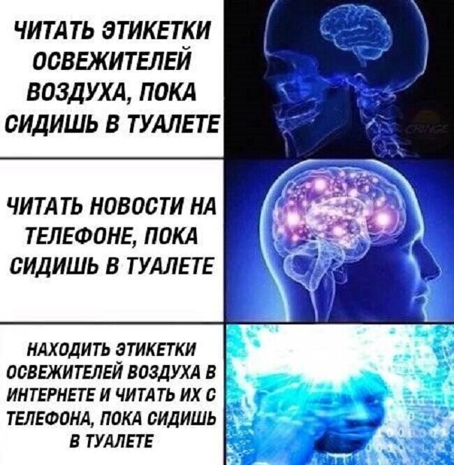 Туалетная хохотальня