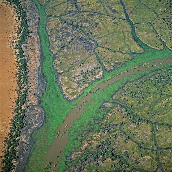 Река Аваш, Австралия