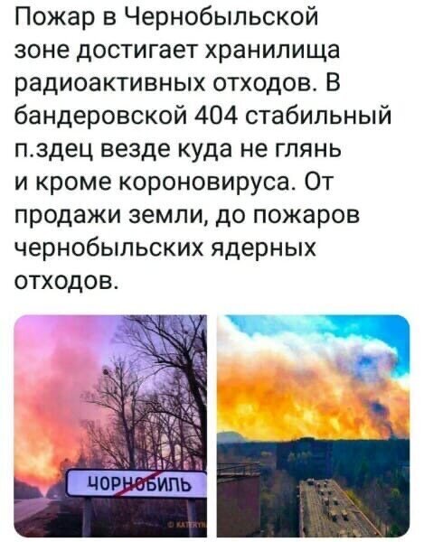 Политические комментарии из инета