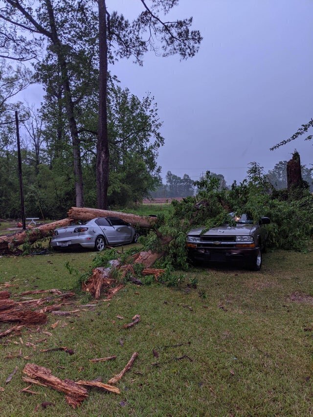 2. "После шторма деревья в округе упали только на наши машины"