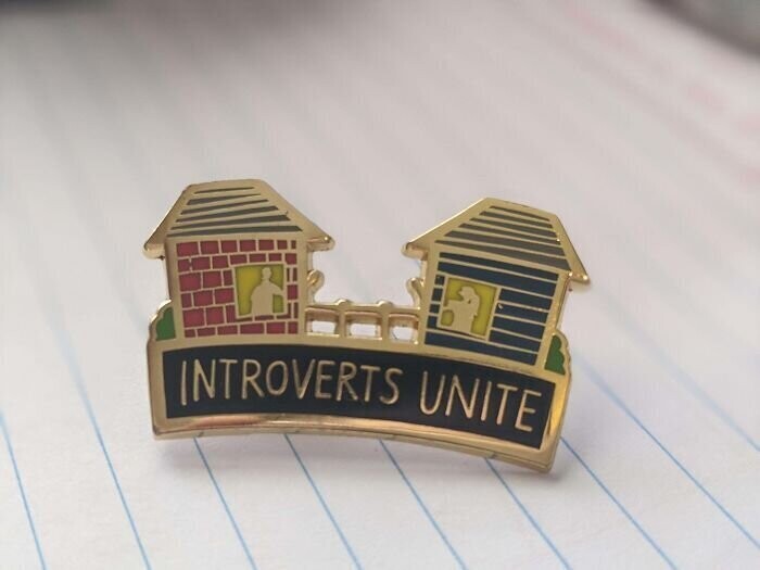 6. Значок "Интроверты объединяйтесь"