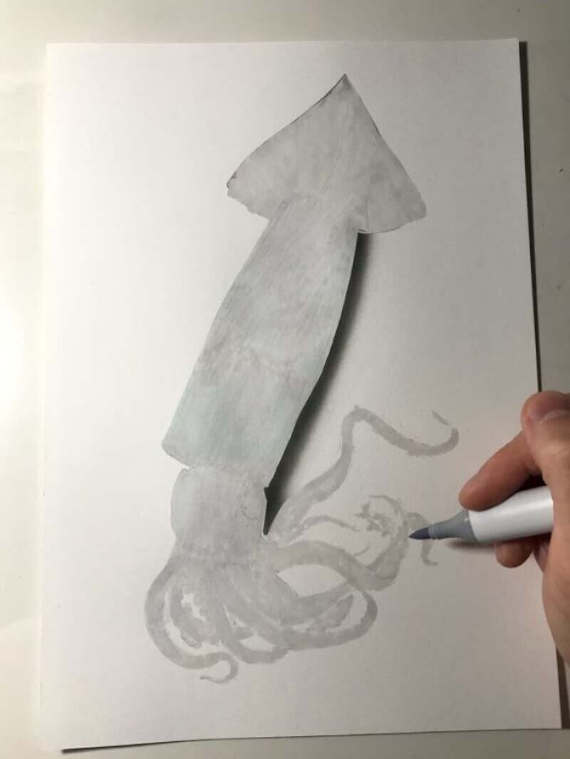 Японский художник создает потрясающе реалистичный рисунок кальмара, используя только ручку и карандаш