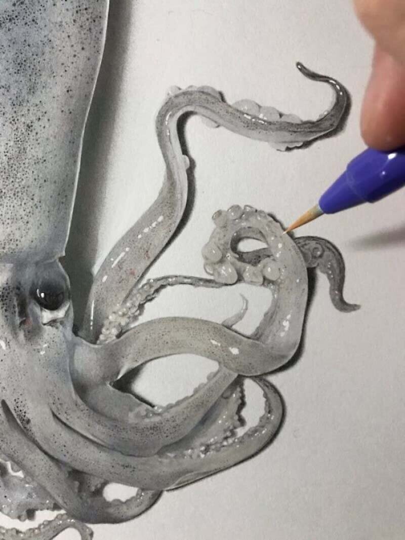 Японский художник создает потрясающе реалистичный рисунок кальмара, используя только ручку и карандаш