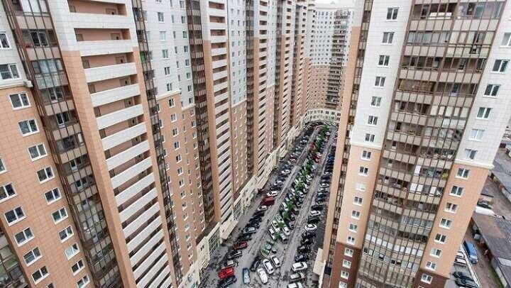 Путинки