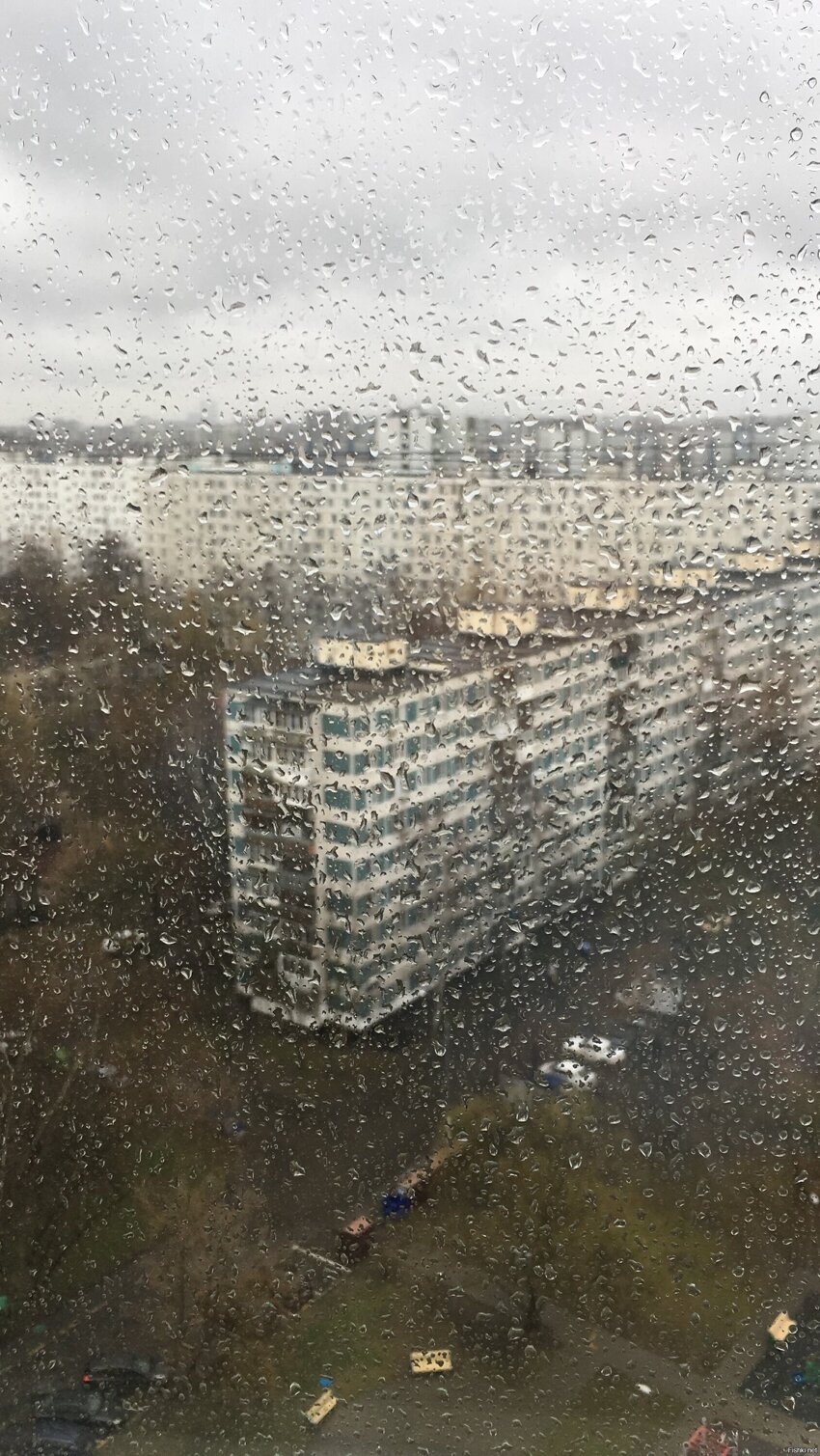 А из нашего окна вот такая погода видна