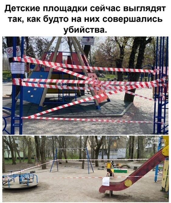 Прикольные и смешные картинки