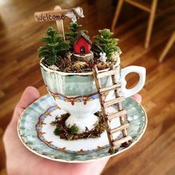 Ближе к природе: сад в чайной чашке