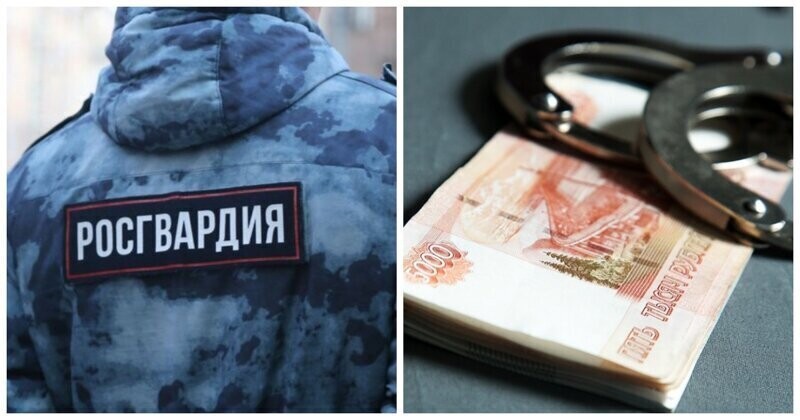 Полковника Росгвардии задержали за вымогательство 18 миллионов рублей