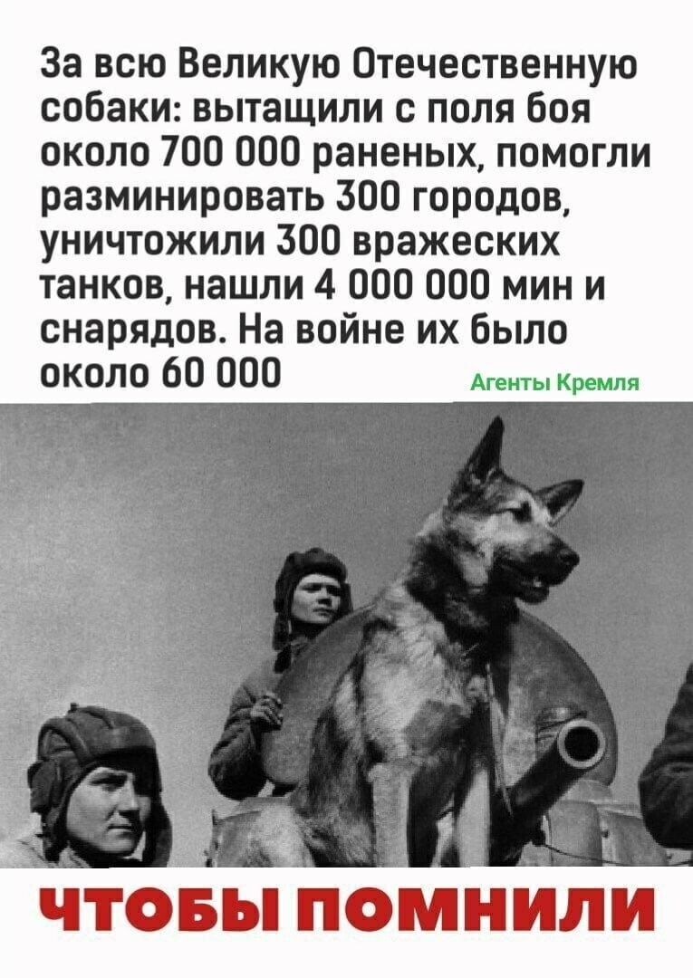 Политические комментарии 2