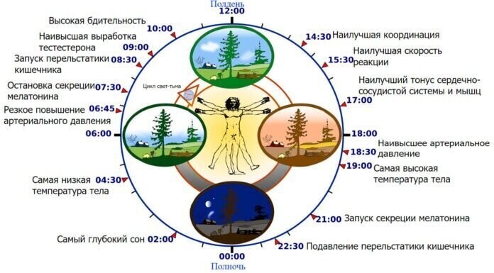 Интересный факт: ежегодно с 2008 года отмечается всемирный день сна. Он припадает на пятницу второй недели марта – перед днем весеннего равноденствия. Этот день выбран Международной ассоциацией медицины сна. 