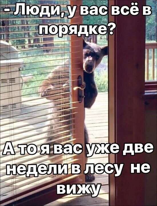 Политические комментарии из инета