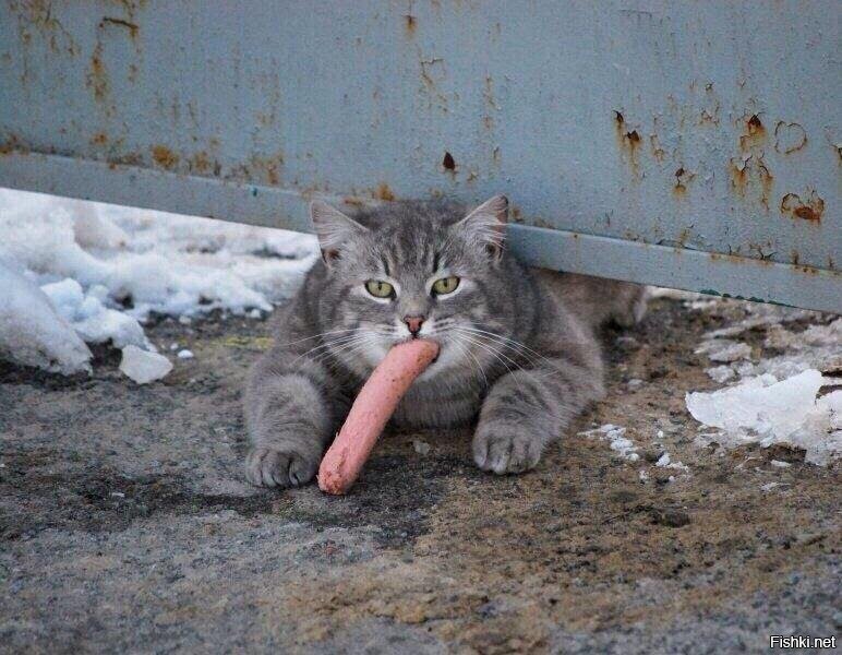 Всем привет