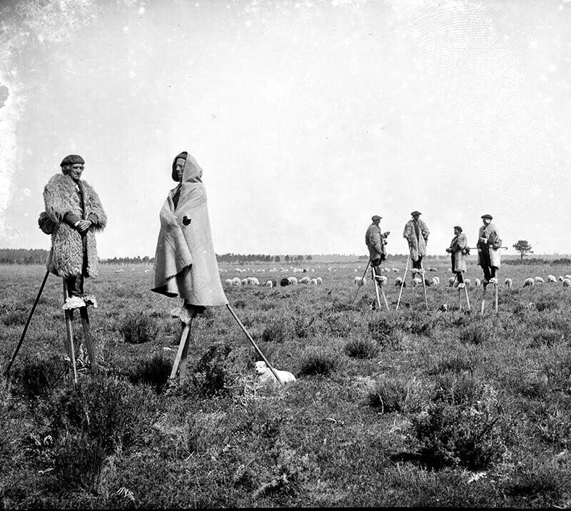 Пастухи из Гаскони использовали ходули, которые помогали им ходить по болотистой местности, ок.1895, Франция