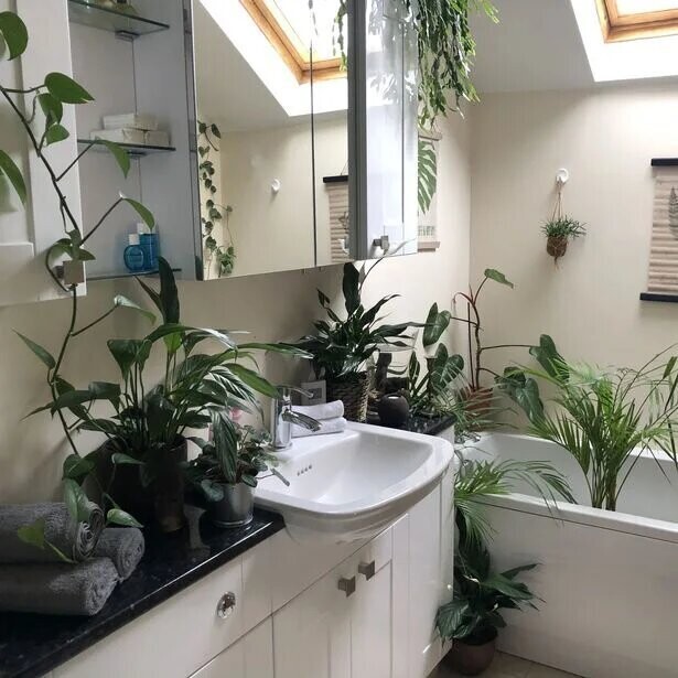 Фанат-садовник превратил квартиру в джунгли