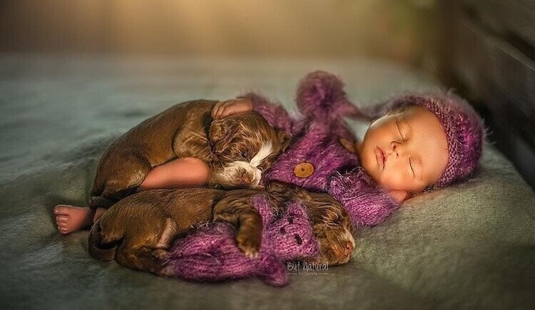 Трогательные фотографии новорожденных в обнимку с маленькими зверюшками