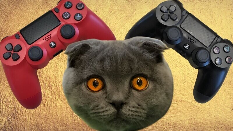 Кот против PS4. Почему коту не нравится Playstation?
