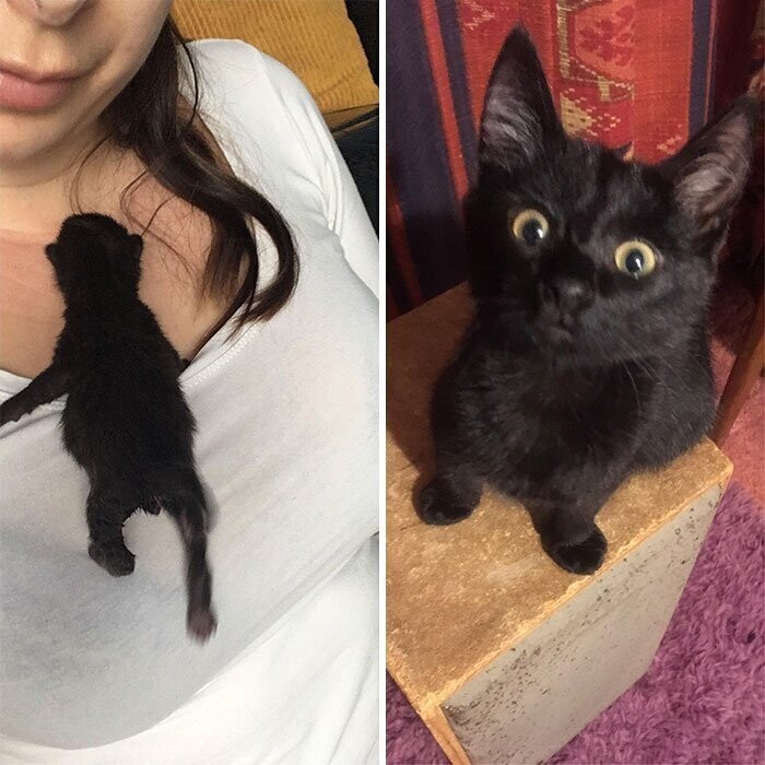 До и после усыновления
