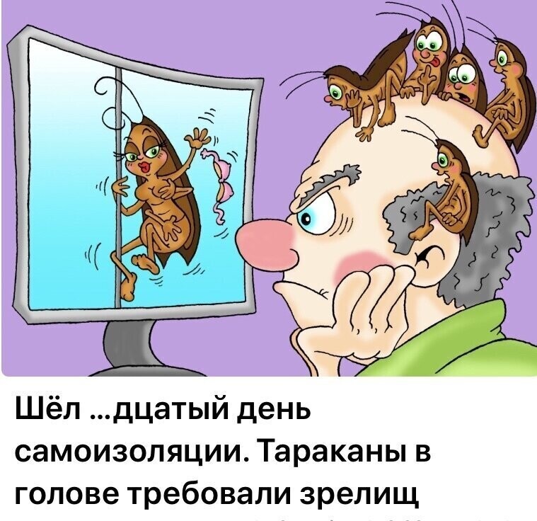 Политические комментарии из инета
