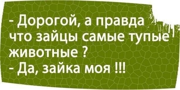 Прикольные и смешные картинки от Димон за 23 апреля 2020 10:17