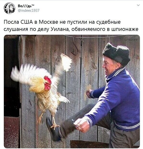 Политические комментарии из инета