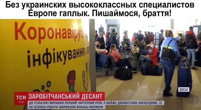 Политические комментарии из инета