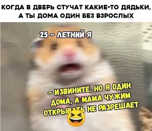 Смешные картинки