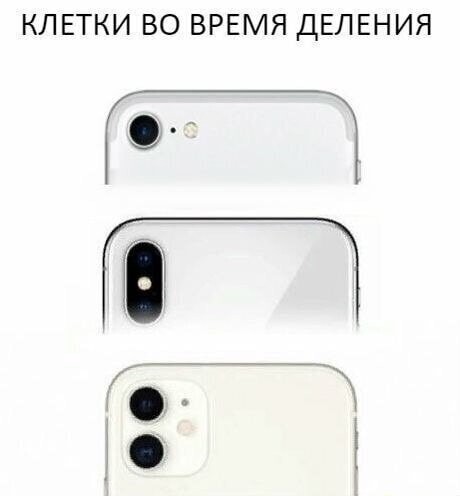 Смешные картинки