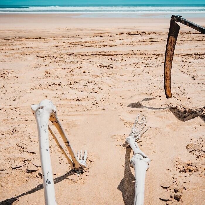 В мае на пляжи Флориды придёт Смерть с косой