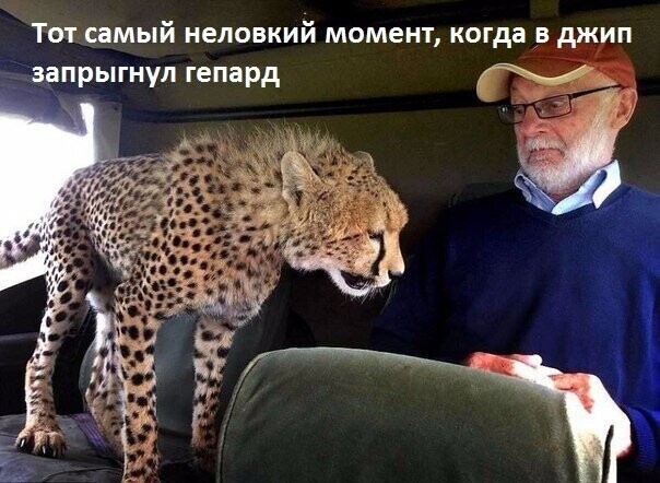 Смешные картинки