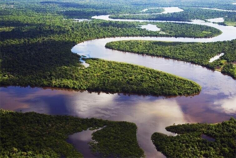 Длина Амазонки — 6 400 км — это самая длинная река в мире, но через неё нет ни одного моста