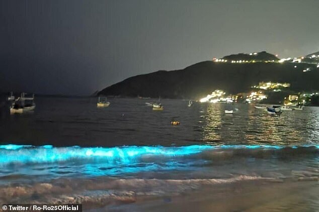Опустевшие пляжи Акапулько озарились светом