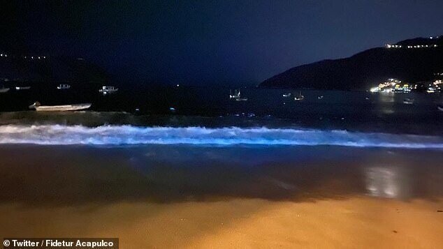 Опустевшие пляжи Акапулько озарились светом