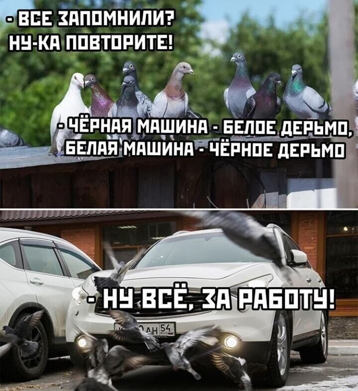 Смешные картинки