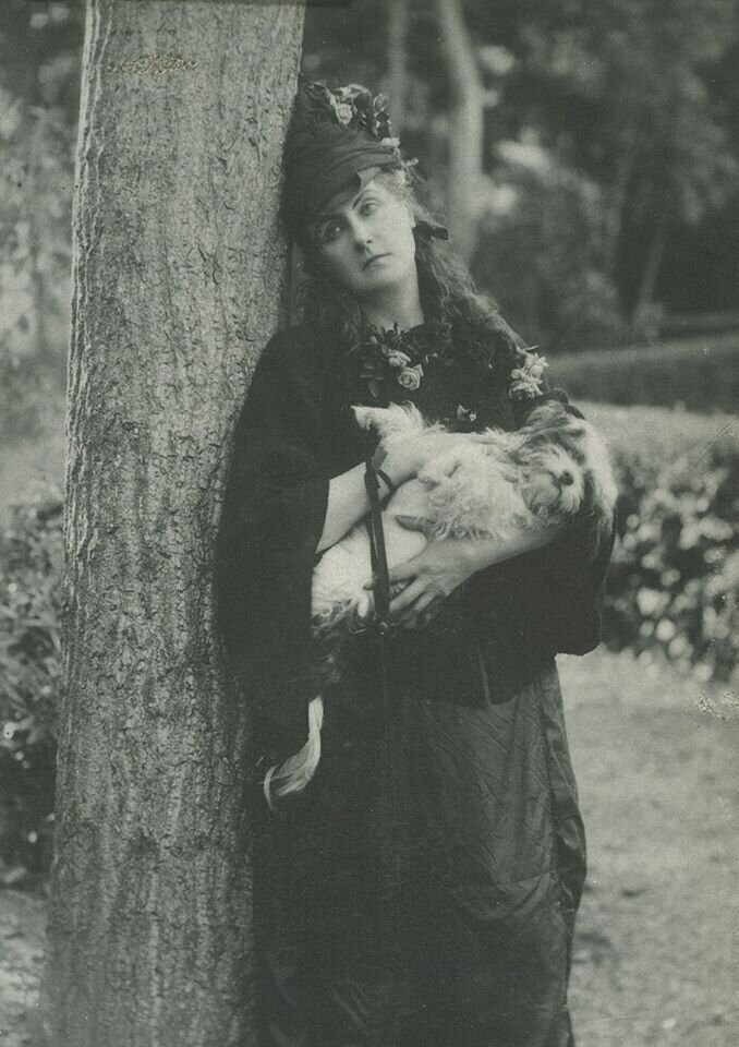 Дама с собачкой / Пьер-Луи Пирсон (1860г)