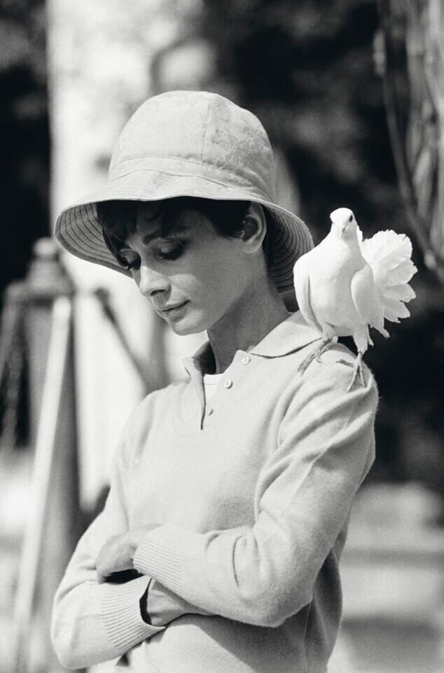Одри Хепберн на съёмках фильма "Двое в пути", 1967