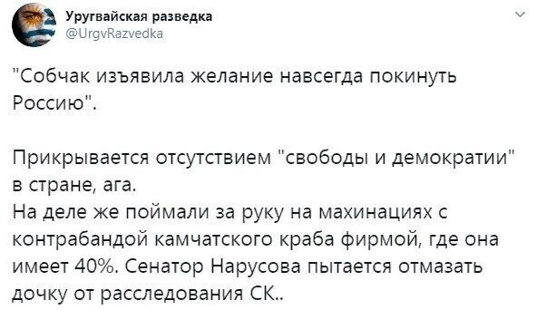 Политические комментарии из инета