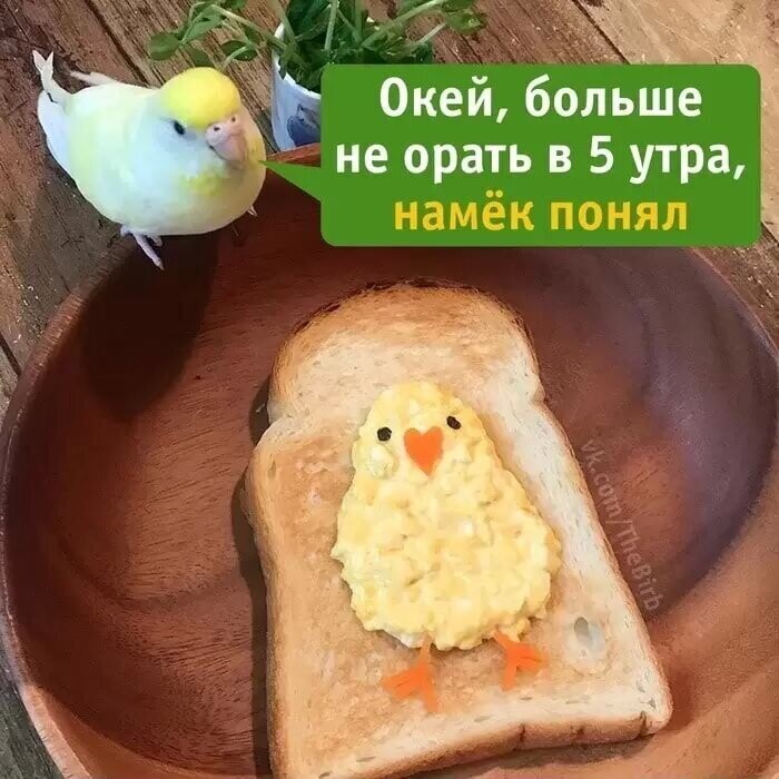 Смешные картинки