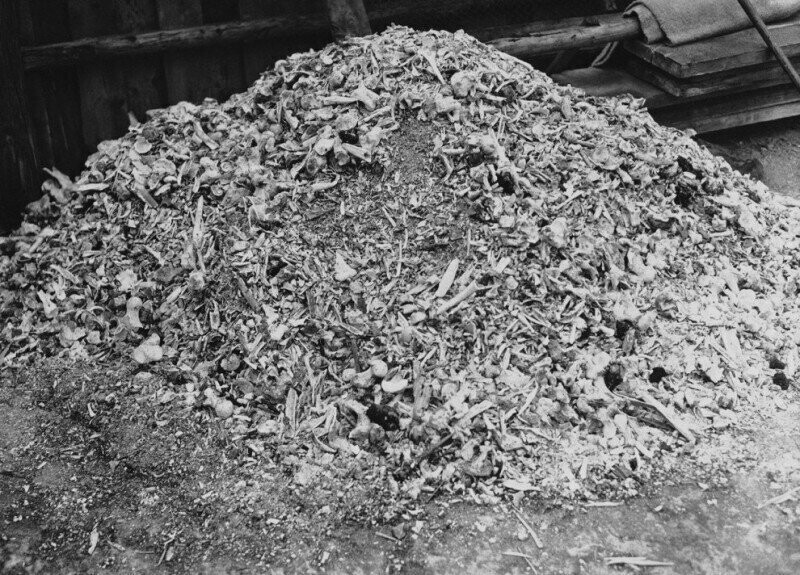 Куча пепла и костей в концлагере «Бухенвальд». 25 апреля 1945 года. Германия.