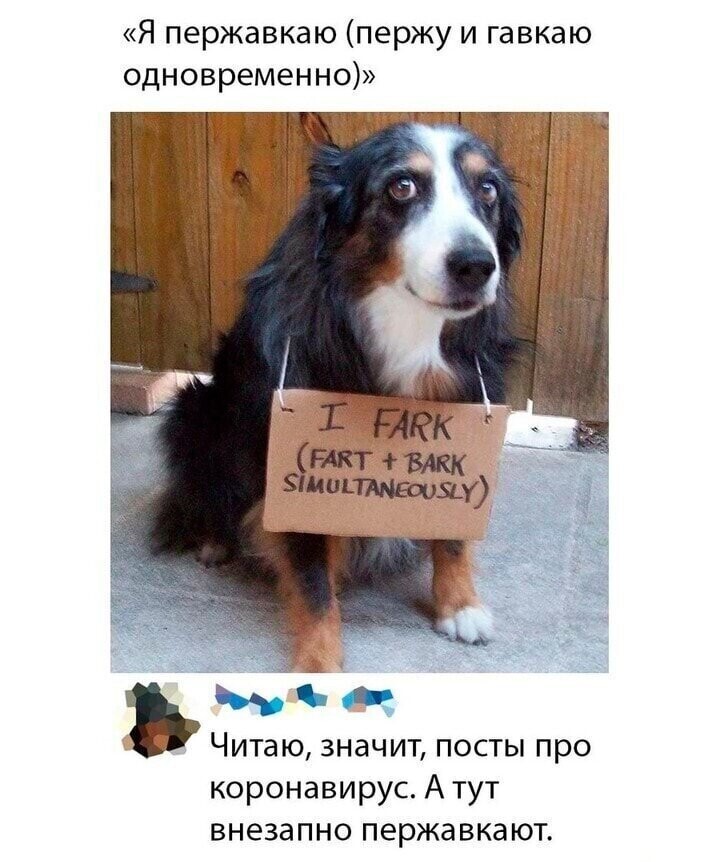 Смешные картинки